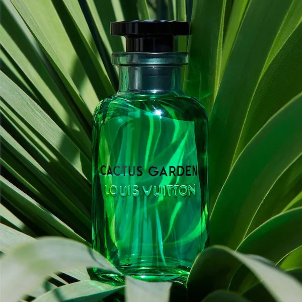 Designer (Louis Vuitton - Cactus Garden)