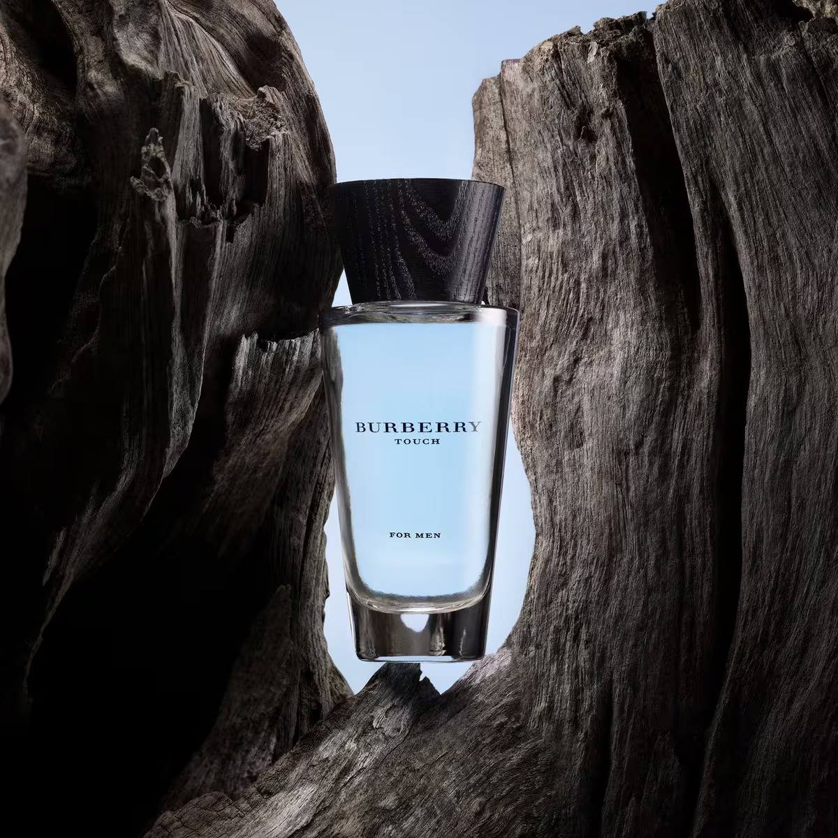 Embrace (Burberry - Touch)
